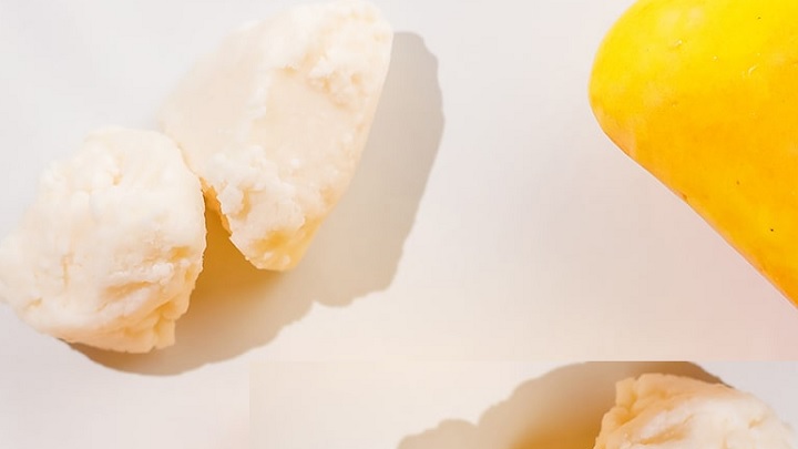 نکات و فوت و فنهای تهیه روغن هسته انبه نکات و فوت و فنهای تهیه روغن هسته انبه