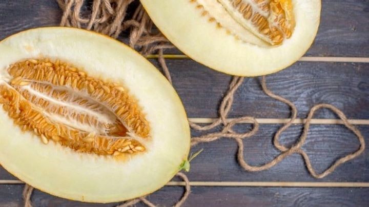 خواص پوست خربزه برای سنگ صفرا خواص پوست خربزه برای سنگ صفرا
