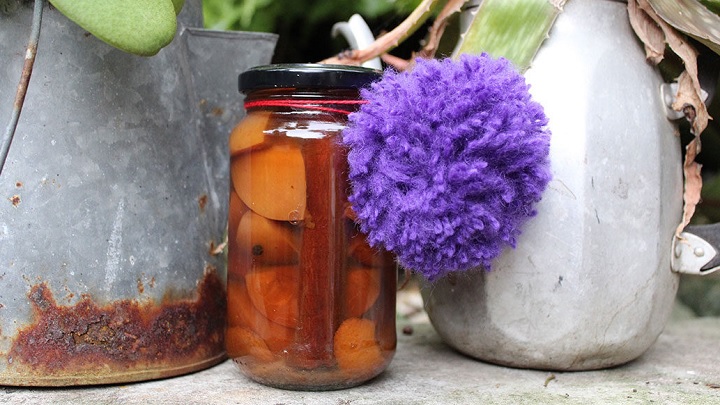 نکات و فوت و فن‌های طرز تهیه ترشی زردآلو