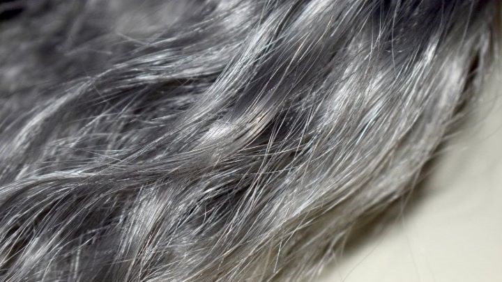 علت سفید شدن زودرس مو‌ها از نگاه طب سنتی