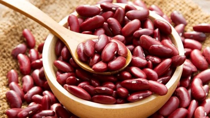 نقش لوبیا قرمز در بهبود عملکرد کلیه ها و درمان بیماری های کلیوی