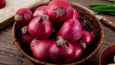 فواید شگفت‌انگیز مصرف پیاز خام در فصل تابستان که باید بدانید!