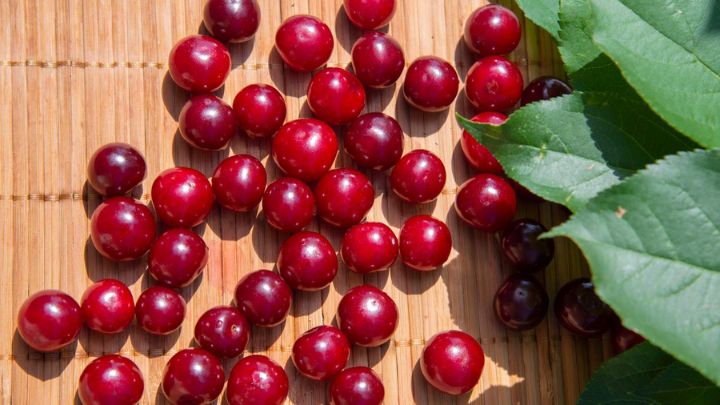 فواید گیلاس برای کودکان و نوزادان فواید گیلاس برای کودکان و نوزادان