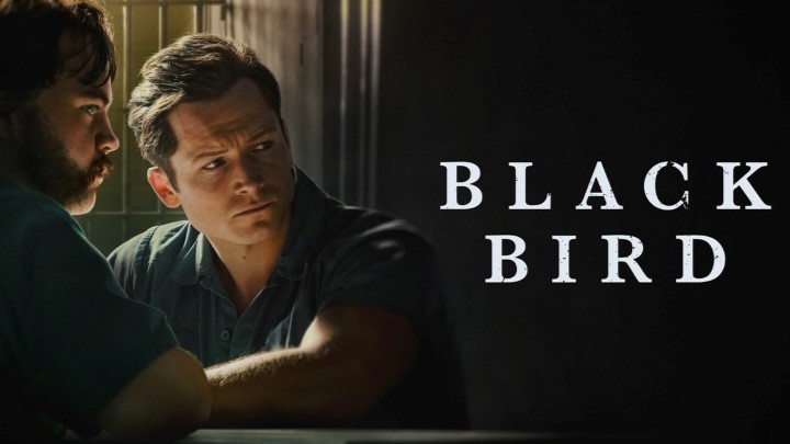 مینی سریال پرنده سیاه (Black Bird) برای کسانی که زمان محدود دارند مینی سریال پرنده سیاه (Black Bird) برای کسانی که زمان محدود دارند