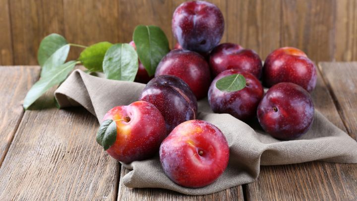 مشخصات تغذیه‌ای و زیست فعال آلو سیاه در مبارزه با پوکی استخوان