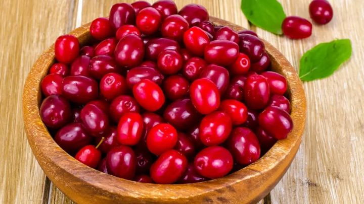 روش دوم، تهیه ترشی زغال‌اخته با آبغوره