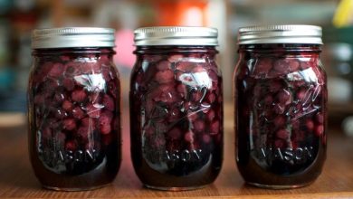 2 طرز تهیه ترشی زغال‌اخته خانگی؛ طعمی که فراموشش نمی‌کنید