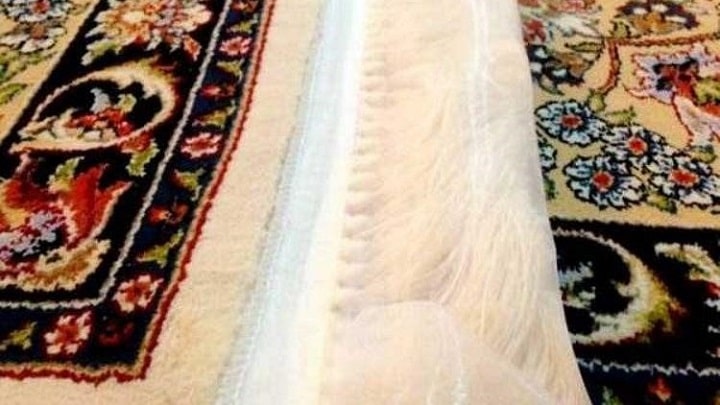 استفاده از کاور ریشه فرش از روش‌های محافظت از ریشه فرش