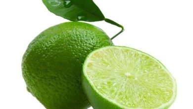 خواص ضدعفونی کننده لیموترش