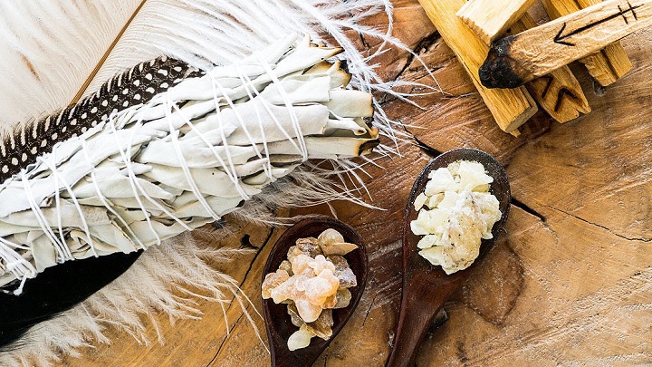 انواع گیاهان دارویی مناسب برای ضد عفونی خانه انواع گیاهان دارویی مناسب برای ضد عفونی خانه