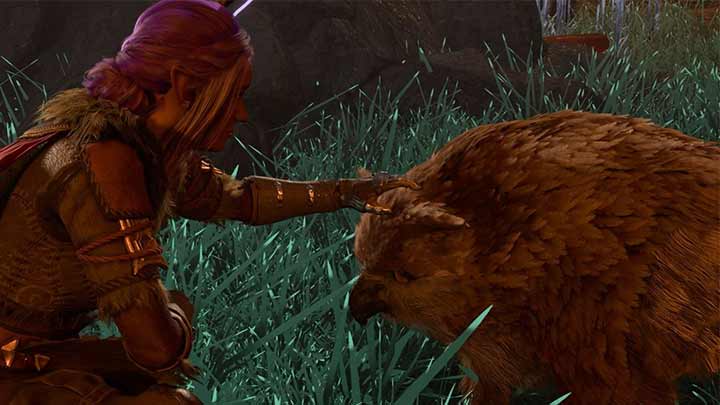 چرا نباید به فال و جادو اعتماد کرد؟