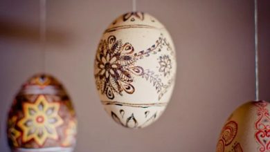 پوست تخم مرغ را دور نندازید! 4 ایده خلاقانه با پوست تخم مرغ