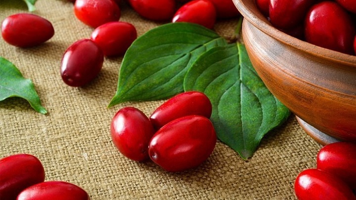 چگونه زغال اخته را خشک کنیم؟  چگونه زغال اخته را خشک کنیم؟