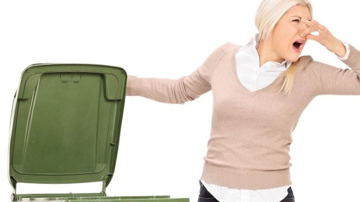 استفاده از نعنا فلفلی برای رفع بوی بد سطل آشغال استفاده از نعنا فلفلی برای رفع بوی بد سطل آشغال