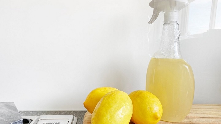 بهترین راهکارهای از بین بردن بوی سطل زباله بهترین راهکارهای از بین بردن بوی سطل زباله