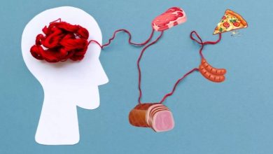 مصرف این ۵ ماده غذایی احتمال ابتلا به آلزایمر را افزایش میدهد