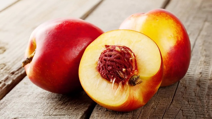 از چه سنی به کودکان شلیل بدهیم؟ از چه سنی به کودکان شلیل بدهیم؟