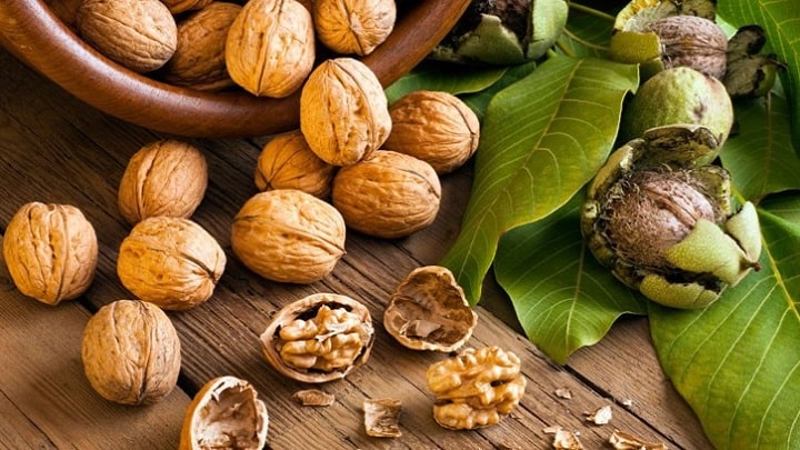 طرز تهیه دمنوش پوست سبز گردو تازه طرز تهیه دمنوش پوست سبز گردو تازه