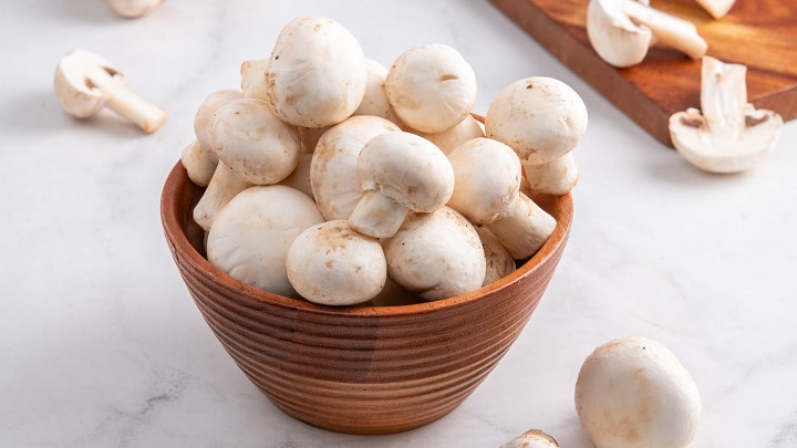 7 راه تشخیص قارچ باکیفیت و مرغوب 7 راه تشخیص قارچ باکیفیت و مرغوب