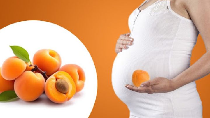 از چند ماهگی می‌توان زردآلو به نوزاد داد؟