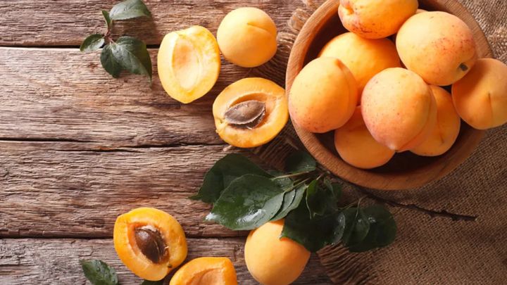 نکات مهمی هنگام دادن زردآلو به نوزاد که باید بدانید!