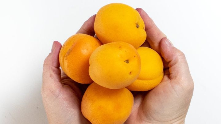 در مصرف زردآلو برای نوزادان چه زمانی باید نگران باشیم؟