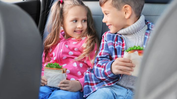 انواع تنقلات سفر انواع تنقلات سفر