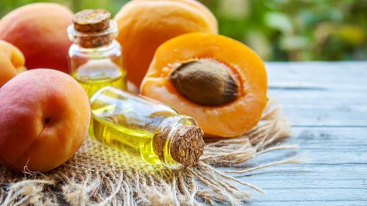 تهیه روغن با هسته زردآلو خانگی تهیه روغن با هسته زردآلو خانگی
