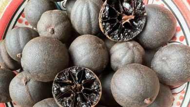 طرز تهیه لیمو عمانی خانگی؛ به سبک مامان بزرگ‌ها