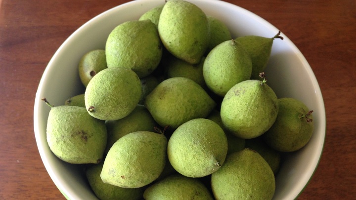 چگونه مغز گردو و انبه را تازه نگه داریم؟ چگونه مغز گردو و انبه را تازه نگه داریم؟