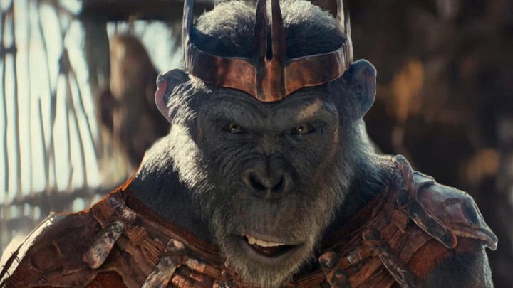 داستان فیلم پادشاهی سیاره میمون‌ها (Kingdom of the Planet of the Apes)