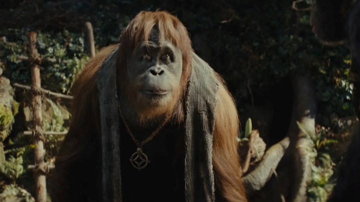 نقد کارگردانی فیلم پادشاهی سیاره میمون‌ها (Kingdom of the Planet of the Apes)