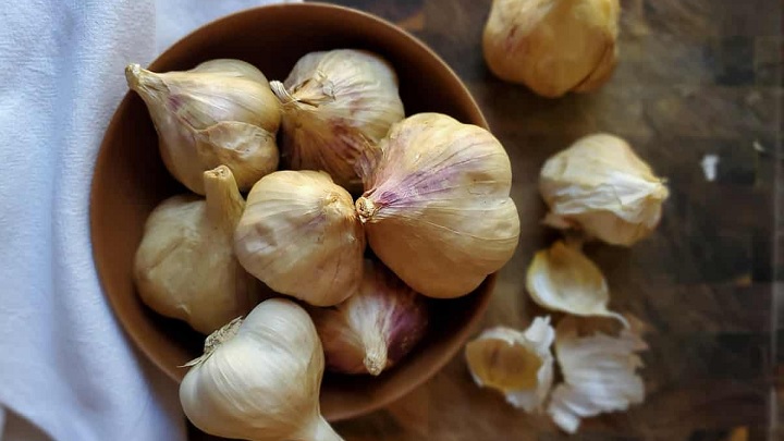 چطور از پوک شدن سیر در منزل جلوگیری کنیم؟ چطور از پوک شدن سیر در منزل جلوگیری کنیم؟