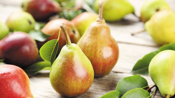 خواص گلابی برای لاغری و کاهش وزن: غنی از آنتیاکسیدانها خواص گلابی برای لاغری و کاهش وزن: غنی از آنتیاکسیدانها