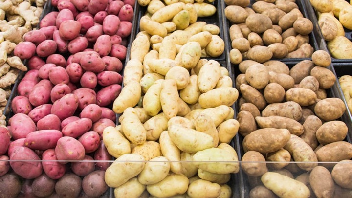 کدام سیب زمینی طعم و کیفیت نامناسبی دارد؟ کدام سیب زمینی طعم و کیفیت نامناسبی دارد؟