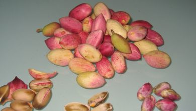 8 راز پنهان در پوست پسته‌ای که دور می‌اندازید