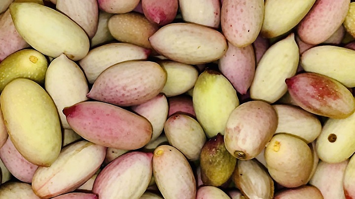 لایه برداری پوست با پوست پسته