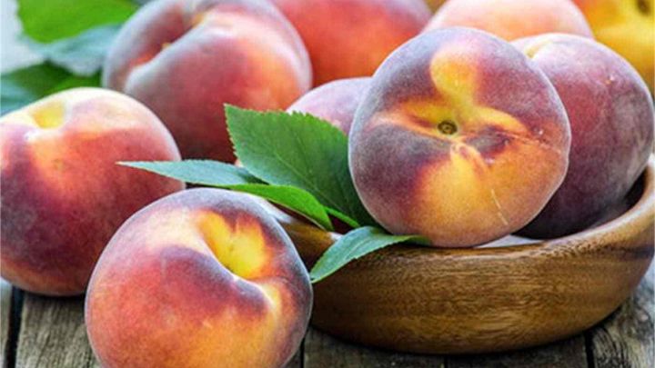 خواص آنتی‌اکسیدانی شلیل موثر برای سرماخوردگی