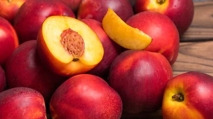 خواص کلیدی شلیل در درمان سرماخوردگی