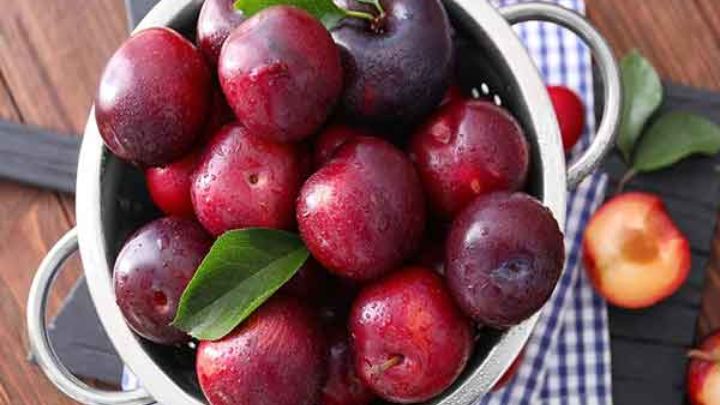 فیبر بالا و ویتامین آلو به کنترل کبد چرب کمک میکند فیبر بالا و ویتامین آلو به کنترل کبد چرب کمک میکند