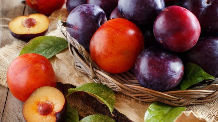 چگونه آلو را در رژیم غذایی برای کبد چرب بگنجانیم؟ چگونه آلو را در رژیم غذایی برای کبد چرب بگنجانیم؟