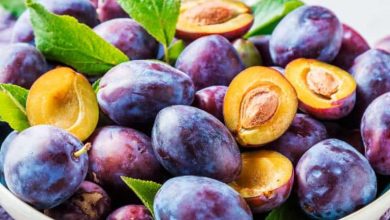 کبد چرب را با آلو درمان کنید؛ خواص شگفت‌انگیز آلو برای کبد چرب