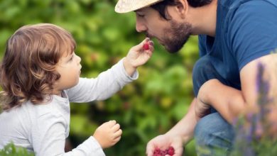 تمشک؛ 7 گنجینه ویتامین برای کوچولوها