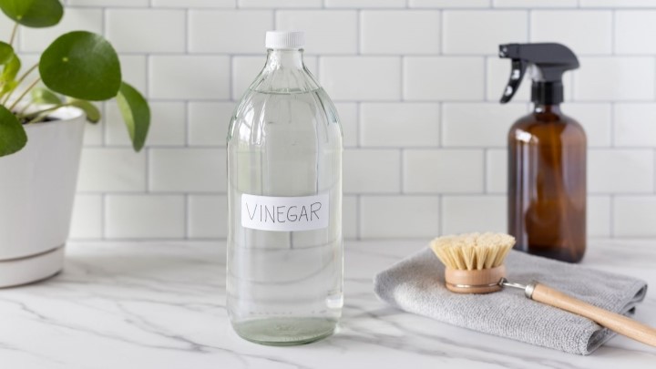 پاک کردن لکههای ضدآفتاب از روی لباس با استفاده از سرکه سفید پاک کردن لکههای ضدآفتاب از روی لباس با استفاده از سرکه سفید