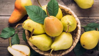 2 روش‌ طلایی برای نگهداری گلابی به مدت طولانی