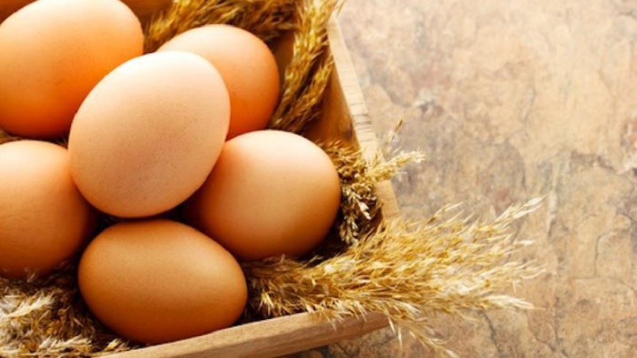 تخم مرغ برای جوانی و شادابی