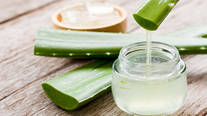 آلوئه ورا برای تسکین درد و برطرف کردن التهاب پوست از بهترین مسکنهای طبیعی و گیاهی آلوئه ورا برای تسکین درد و برطرف کردن التهاب پوست از بهترین مسکنهای طبیعی و گیاهی