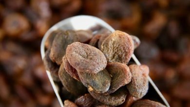 علت کپک زدن برگه زردآلو و روش‌های جلوگیری از آن