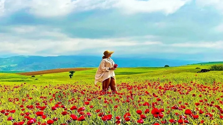 دیلمان در مرداد ماه