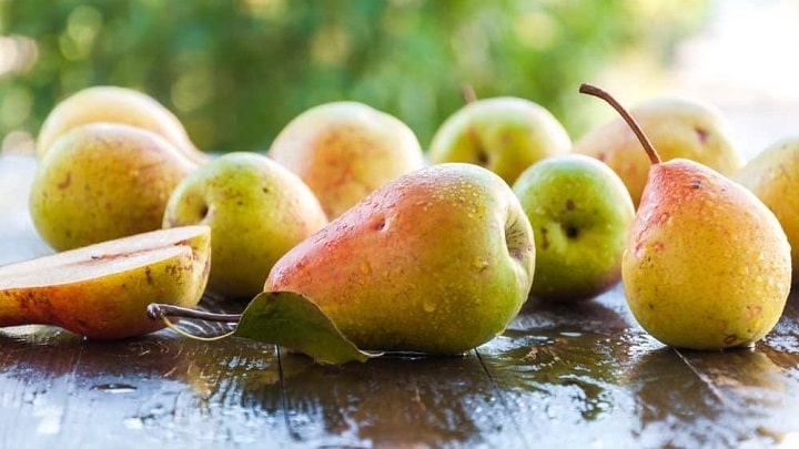 خواص گلابی برای درمان سرماخوردگی خواص گلابی برای درمان سرماخوردگی